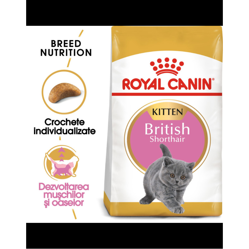 Royal Canin British Shorthair Kitten 2 kg 