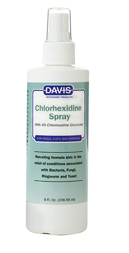 Davis Spray Chlorhexidine 4 % 236 ml 236