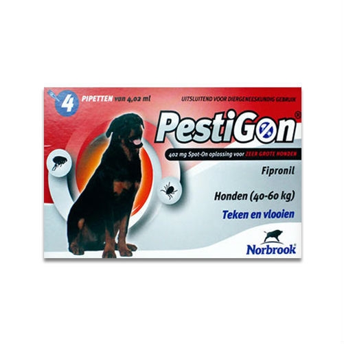 Pestigon Caine XL 40-60 Kg 1 Pipete shop4pet.ro