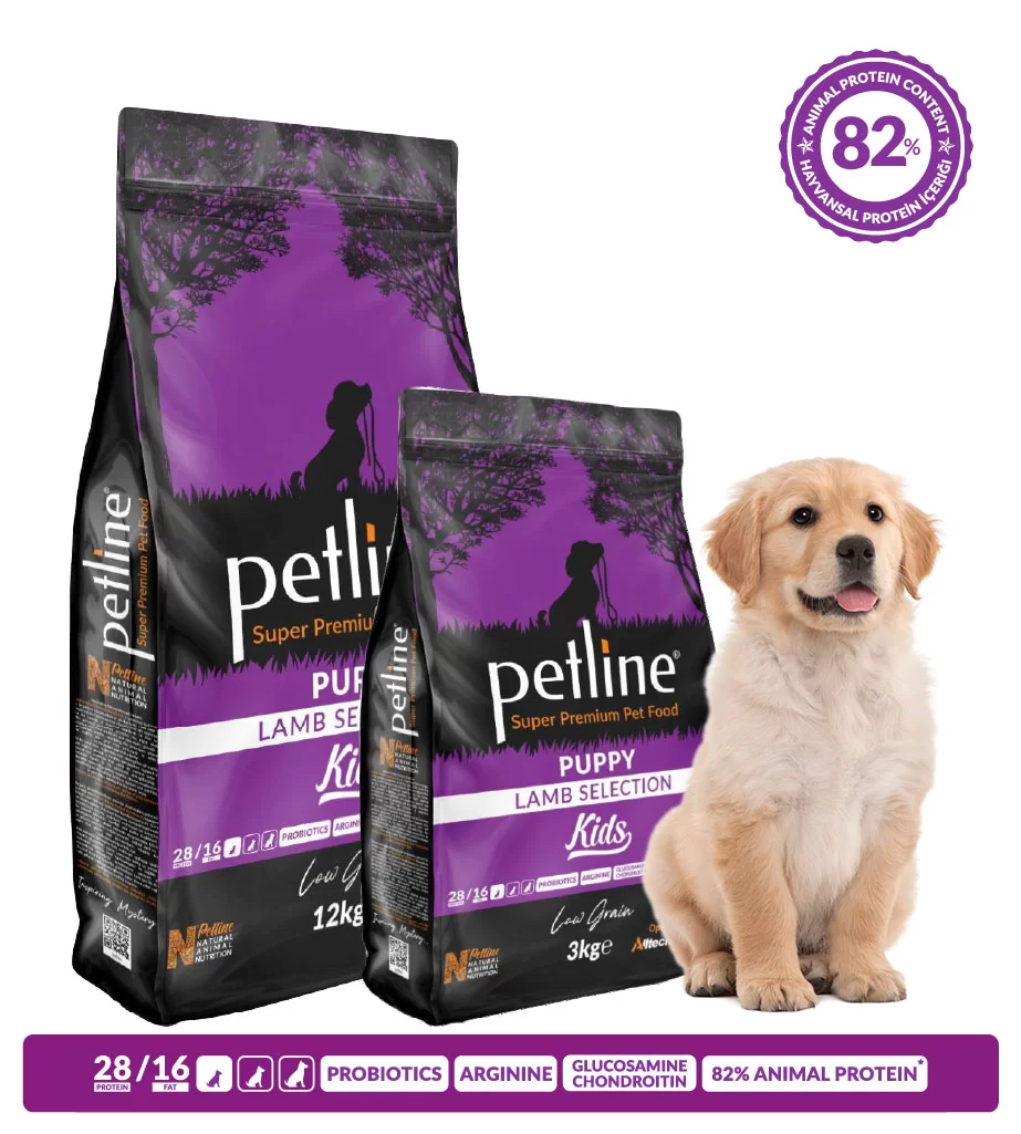 Petline Kids, hrana uscata superpremium pentru caini juniori, cu miel, 3 kg