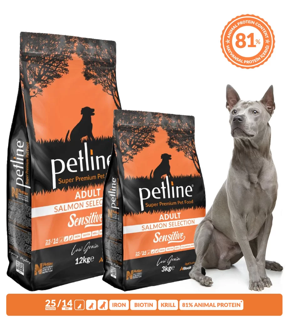 Petline Sensitive, hrana uscata superpremium pentru caini adulti, cu somon, 3 kg
