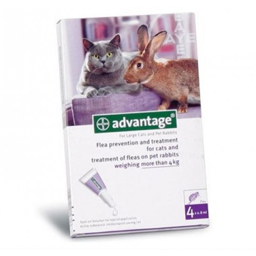 Advantage Pisica/Iepure 80 Peste 4 Kg 1 Pipeta Bayer