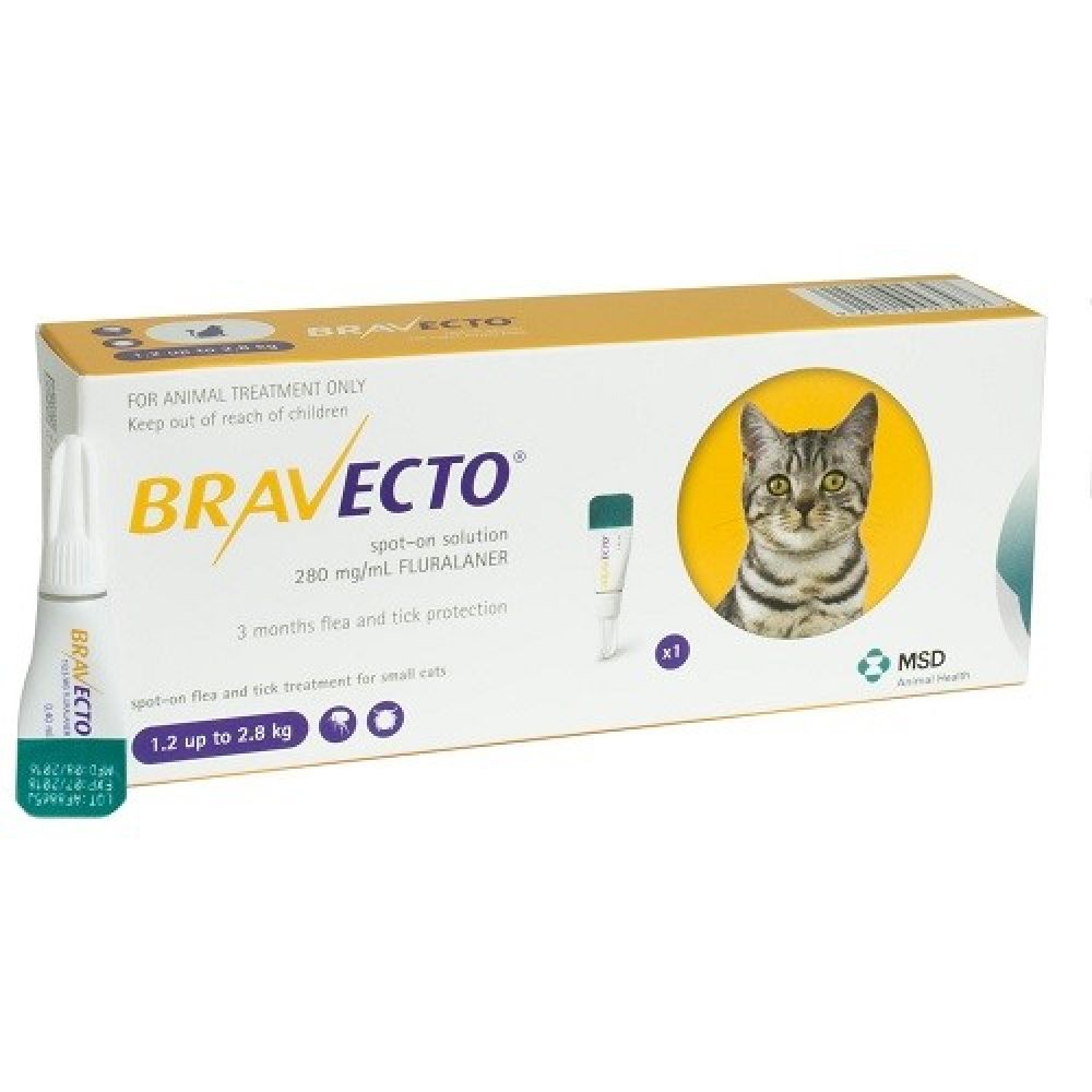 Bravecto Spot On Pisica 1.2-2.8 kgt X 1 Pipeta shop4pet.ro