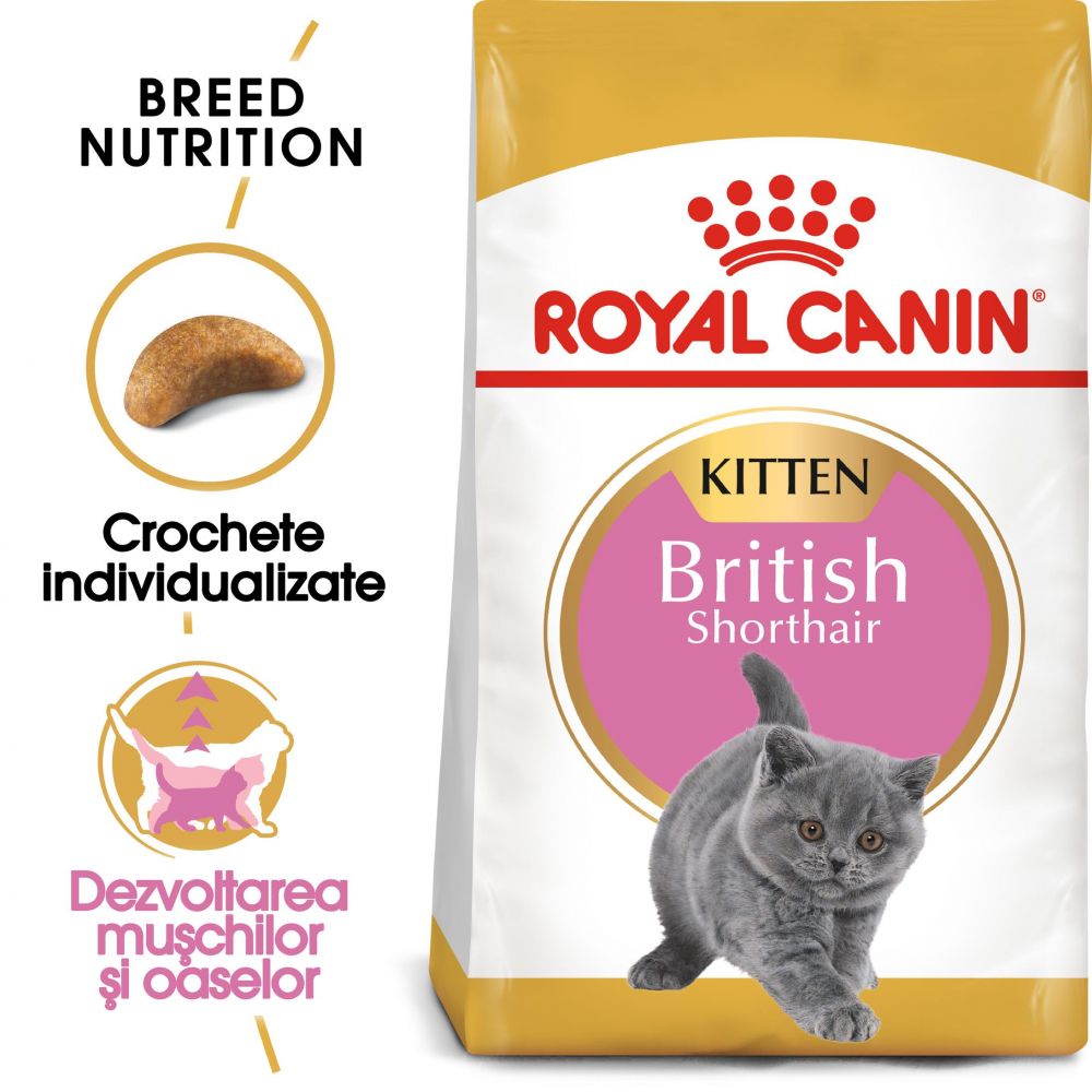 Royal Canin British Shorthair Kitten 400 g 400 imagine 2022